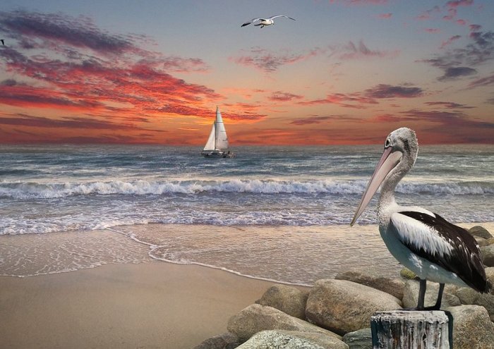 Sunset Sky Sailboat Beach Coastline Ocean 